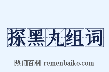 探黑丸组词是什么意思的图片